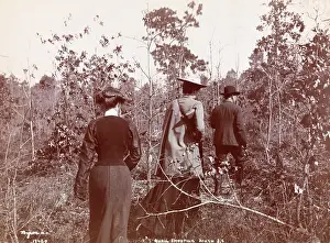 Quail: Quail Shooting