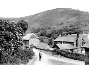 Quantock: Quantock, Triscombe, Wills Neck 1929