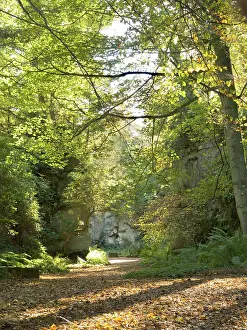 Belsay: Quarry Garden at Belsay Hall