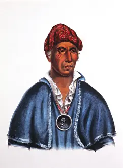 Shawnee: Quatawapea - Native American - Shawnee