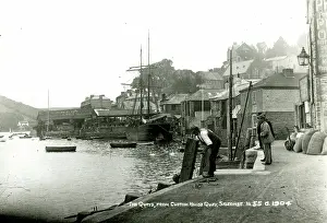 Quays: The Quays from Custom House Quay, Salcombe, Devon