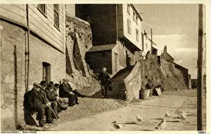 Haven: Quayside, Mevagissey, Cornwall