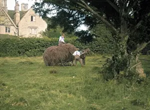 Thecolourisedpic: QUEDGELEY HAYMAKING
