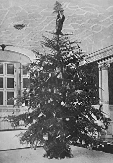 Sandringham: Queen Alexandra's Christmas tree at Sandringham