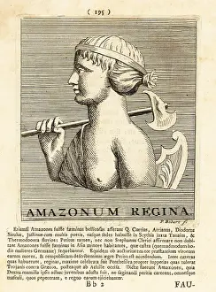 Gods And Heroes: Queen of the Amazons with axe and shield