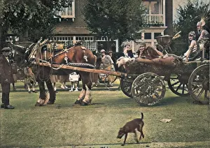 Blinkers: Queen of the Carnival