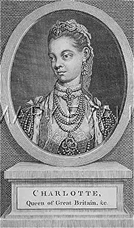 Strelitz: QUEEN CHARLOTTE