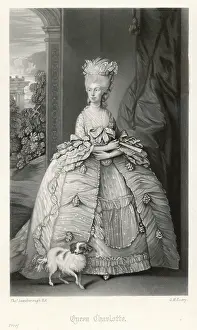 Strelitz: QUEEN CHARLOTTE/EVERY
