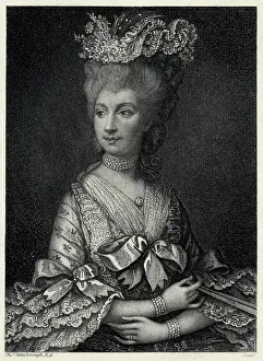 Strelitz: QUEEN CHARLOTTE/READ
