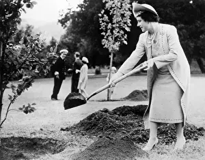 Queen Elizabeth, the former Duchess of York, ?