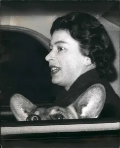 Expects: Queen Elizabeth II and corgi in a car