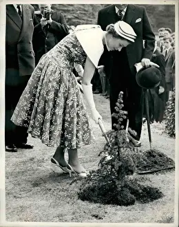 150th: Queen Elizabeth II planting a tree, Mill Hill School, London