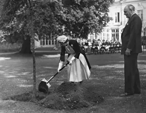 Deputations: Queen Elizabeth II plants tree, British Embassy in Paris