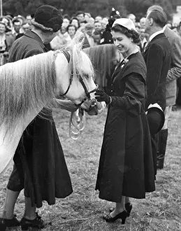 Stroking: Queen Elizabeth II and pony