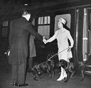 Labradors: Queen Elizabeth II returns from Balmoral with dogs
