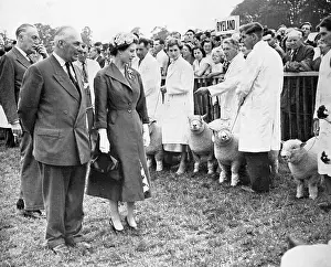Ryeland: The Queen inspects prizewinning sheep