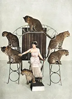 Bostocks: The Queen of the Jaguars and her Trained Troupe