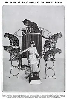 Bostocks: The Queen of the Jaguars and her Trained Troupe