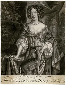 Fawn: Queen Mary II