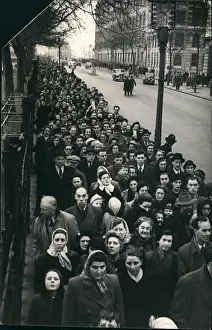 Terrific: Queen Mary, lying-in-state, Westminster Hall, long queue