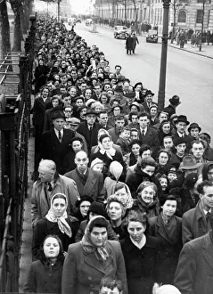 Terrific: Queen Mary, lying-in-state, Westminster Hall, long queue