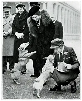 Sep19: The Queen and Princesses corgis, inspection of YMCA canteen