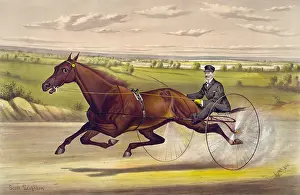 C1880: The queen of the turf Maud S. driven by W.W. Bair: by Harold