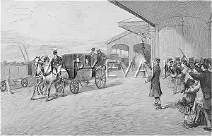 Mcclean: Queen Victoria assassination attempt, 1882