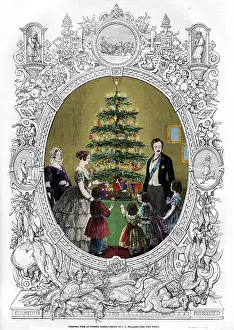 Queen Victoria's Christmas tree