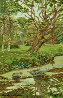 Bower: Queen's Bower, New Forest, Hampshire