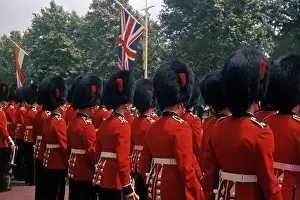 Bearskin: Queen's Guard, The Mall, London