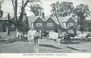 Frognal: The Queen's Hospital, Frognal