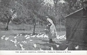 Frognal: The Queen's Hospital, Frognal