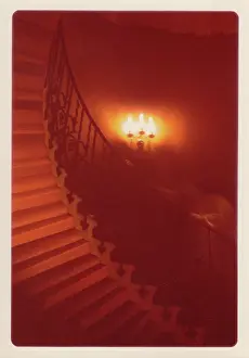 Enigmatic: The Queen's House Ghost on the Tulip Staircase