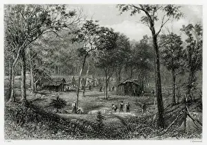 Gully: Queensland Gold Rush