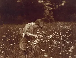 Short Pants: Quentin Roosevelt catching June bugs in a field