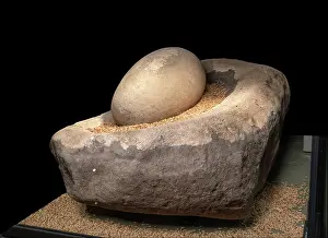 Pestle: Quern, Visitor Centre Museum, Skara Brae, Mainland, Orkney