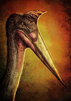 Azhdarchidae: Quetzalcoatlus portrait