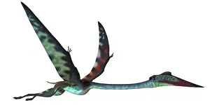 Azhdarchidae: Quetzalcoatlus predatory pterosaur