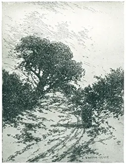 Cloaked: A Quiet Country Road