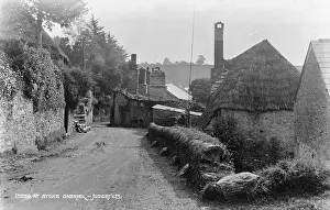 Dirt: A Quiet Lane in Stoke Gabriel
