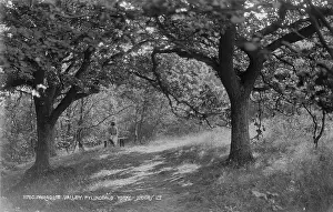 Solitude: A Quiet Moment in Paradise Valley