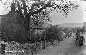Thatched: A Quiet Street in Chideock