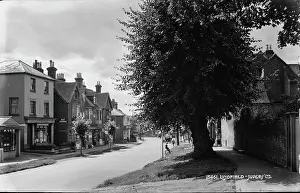 Sidewalk: A Quiet Street in Lindfield