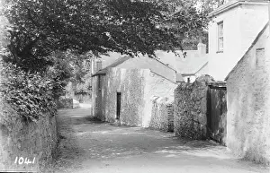 Rustic: Quiet Village Lane