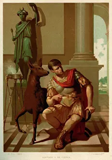 Quintus: QUINTUS SERTORIUS