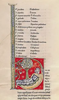 Pliny: QUIRINIUS (-?-21); Pliny The Elder (23-79)
