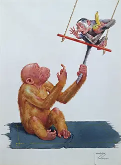 Orang: NOT QUITE A LADY