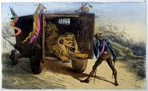 Yawns: QUIXOTE & LION