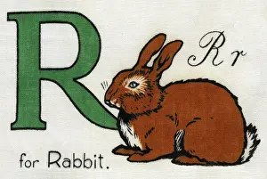 Deans: R for Rabbit